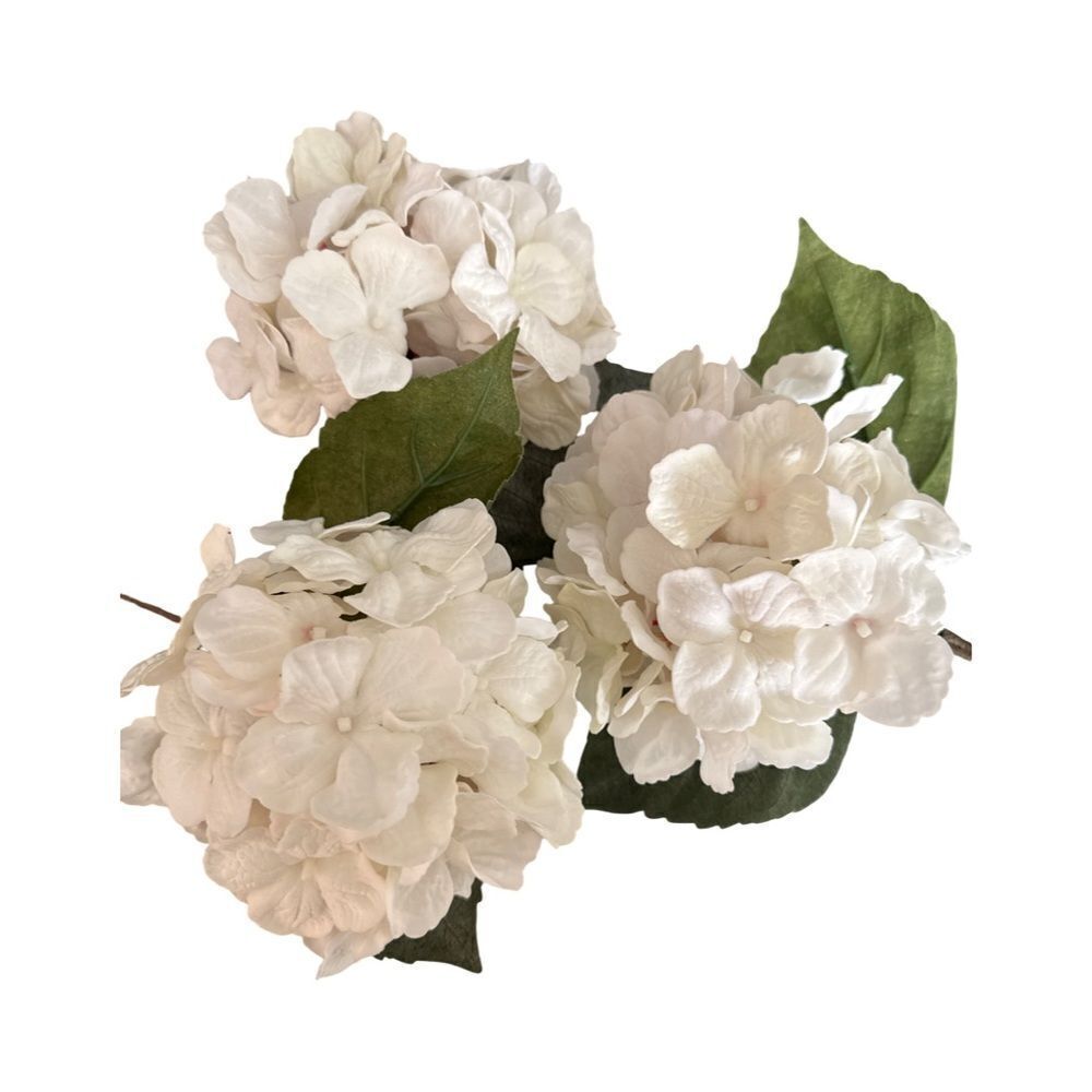 Elegant White Flowers.